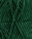 Pingouin Pingo Chenille Vert Floret