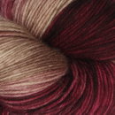 Symfonie Yarns Terra variegated VR2007 Cafe Rose
