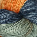 Symfonie Yarns Terra variegated VR2011 Newyork Newyork