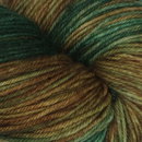 Symfonie Yarns Terra variegated VR2013 Himalayas