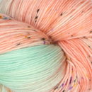 Symfonie Yarns Terra variegated VR2018 Bonnie Blooms