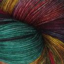 Symfonie Yarns Terra variegated VR2027 Harvest Vine