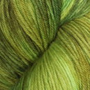 Symfonie Yarns Terra variegated VR2032 Macha