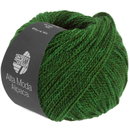 Lana Grossa Am alpaca 98 groen