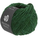 Lana Grossa Am alpaca 102 fles groen