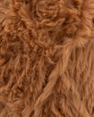 Pingouin Pingo Furry Soft Camel