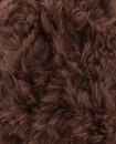 Pingouin Pingo Furry Soft Chocolat