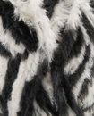 Pingouin Pingo Furry Soft Dalmatien