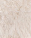 Pingouin Pingo Furry Soft Ecru