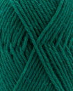 Phildar Phil Imaginaire 3,5 Vert
