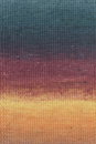 Lang Yarns Move 6-Fach/6-Ply 1146.0011 Light Blue/Royal Purple/Orange/Eggplant