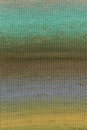Lang Yarns Move 6-Fach/6-Ply 1146.0013 Blue/Green/Orange/Lilac