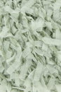 Lang Yarns Salsa 1185.0091 Pastel Green
