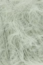 Lang Yarns Fluffy 1186.0091 Pastel Green