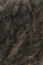 Lang Yarns Shirley 1188.0068 Dark Brown