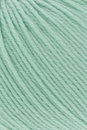 Lang Yarns Merino 150 197.0173 Emerald