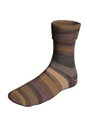 Lang Yarns Super Soxx Merino Color 4-Fach/4-Ply 640.0525 Brown 1146 Earth