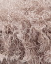 Phildar Phil Siberia Taupe