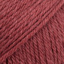 DROPS Saga 24 hulstbes