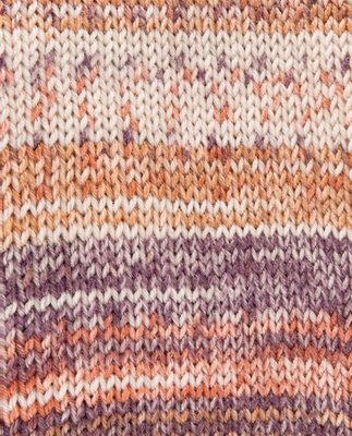 Phildar Phil Socks Merinos impr jacquard marron