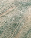 Phildar Phil Imperia Rose Eucalyptus