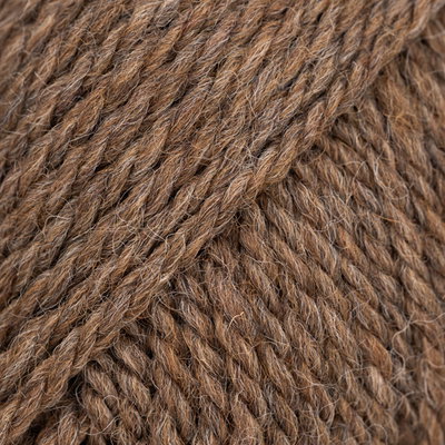 DROPS Alaska 94 grizzly bear